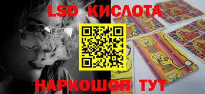 крисы Лесосибирск