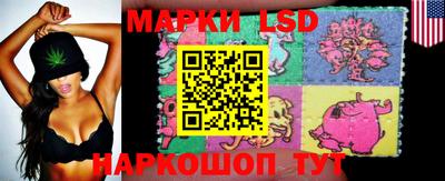 крисы Лесосибирск