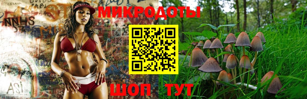 Псилоцибиновые грибы MAGIC MUSHROOMS  Псилоцибиновые грибы Psilocybine cubensis  Вход с VPN  Егорьевск 